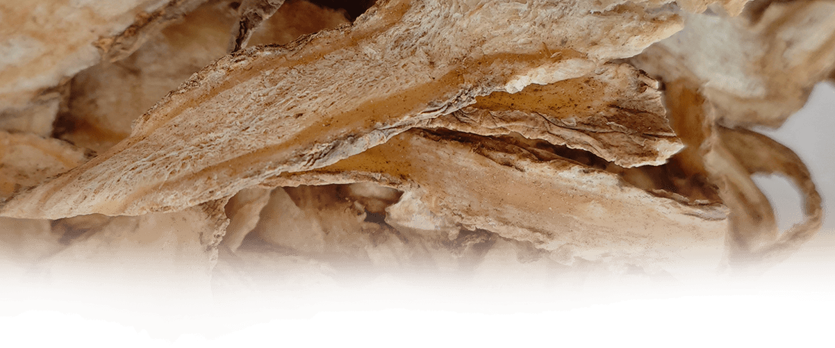 ผลิตภัณฑ์