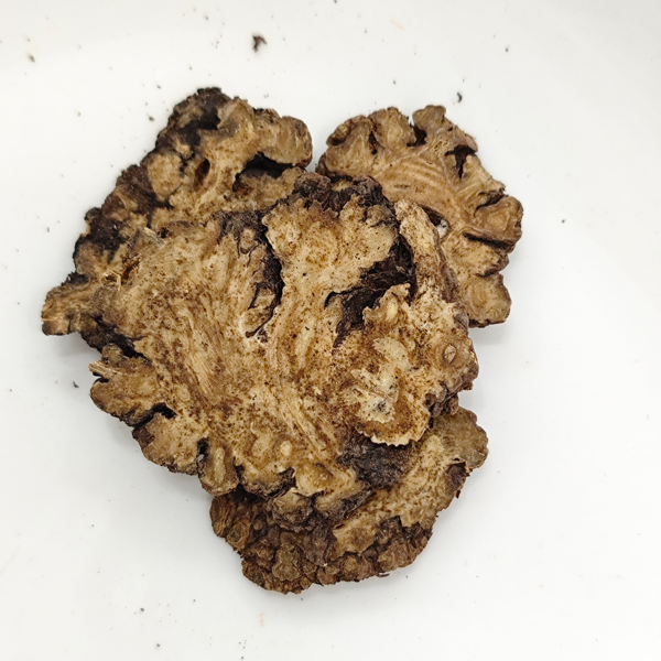 ลิกุสติคัม ชวนเซียง ฮอร์ต