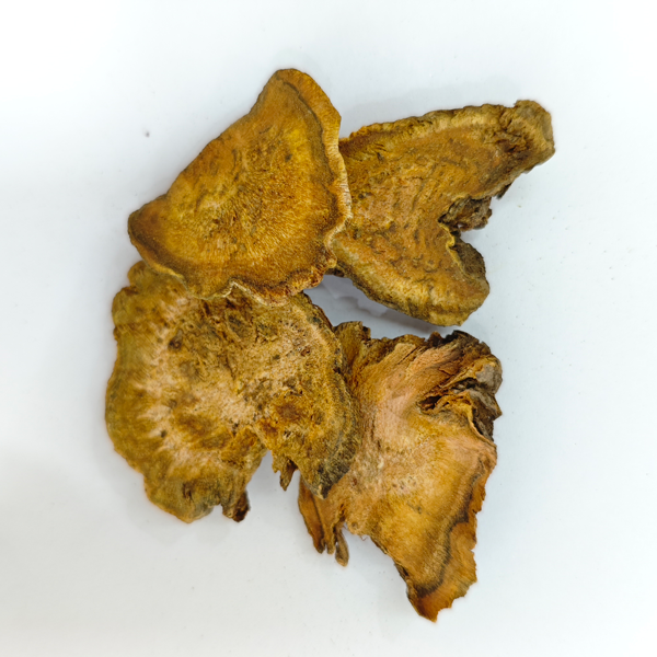 รูบาร์บจีน