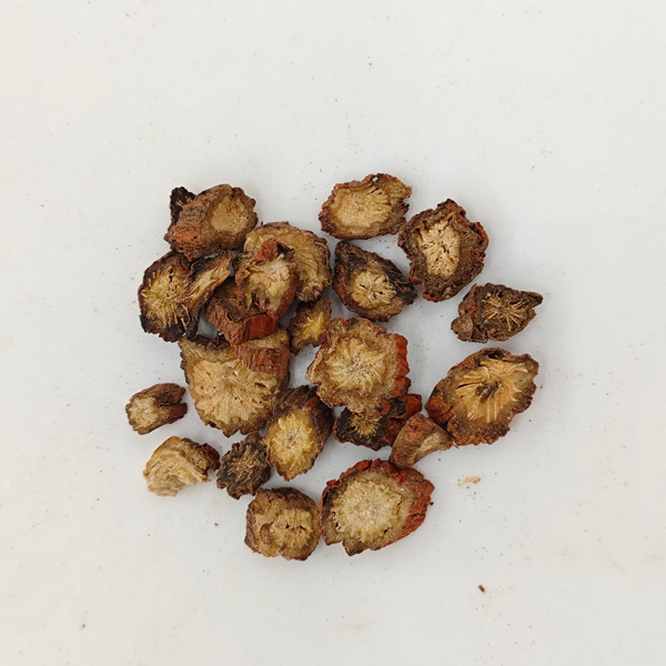 ซัลเวีย มิลติออร์ไรซา