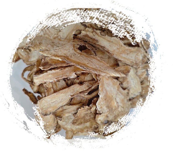 อะไรที่ทำให้พืชสมุนไพร TCM ทรงพลังขนาดนี้? พร้อมคำอธิบายคุณสมบัติ