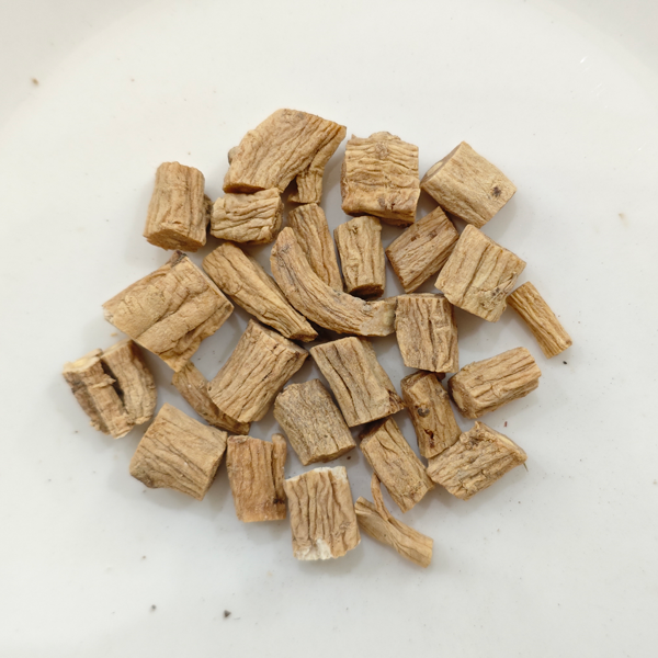 โคโดนอปซิส พิโลซูลา