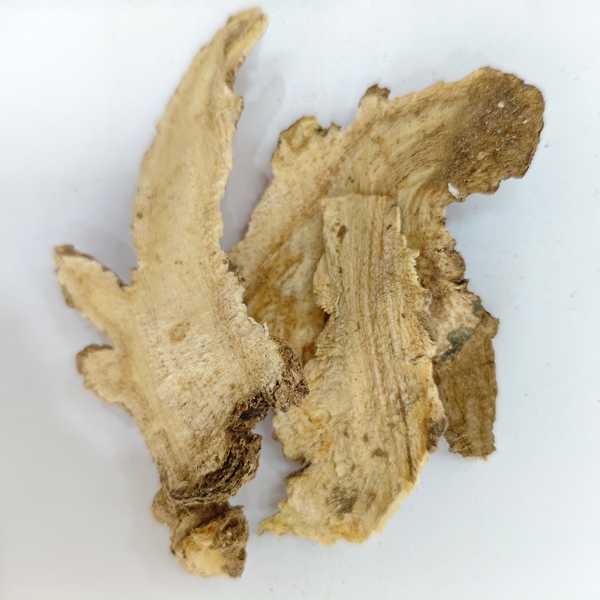 แองเจลิกา หัวหน่าว