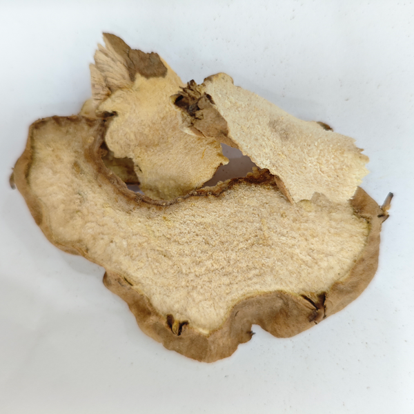 เมล็ดละหุ่ง