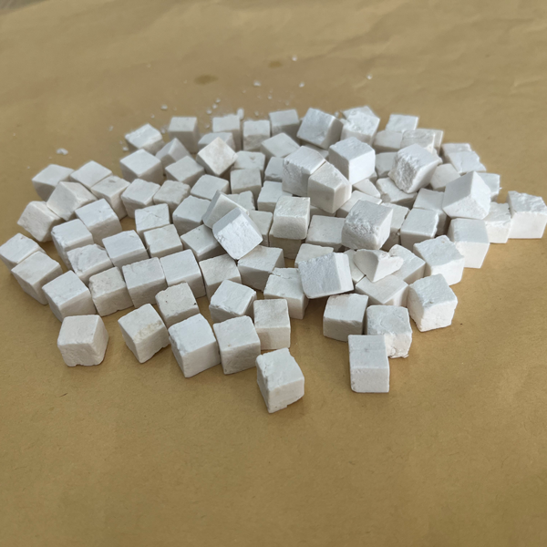 Wolfiporia extensa (เชื้อราที่ทำให้เกิดการผุพังของไม้)