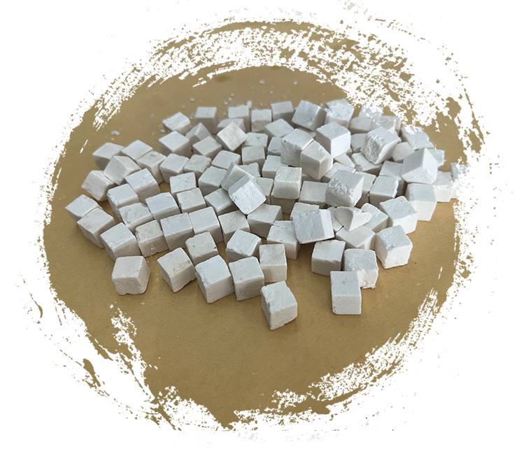 Wolfiporia extensa (เชื้อราที่ทำให้เกิดการผุพังของไม้)