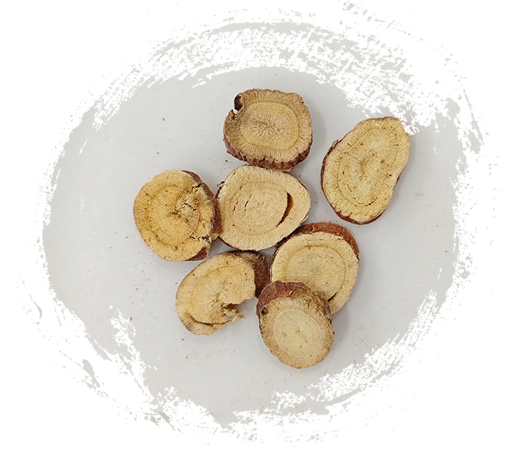 ชะเอมเทศ