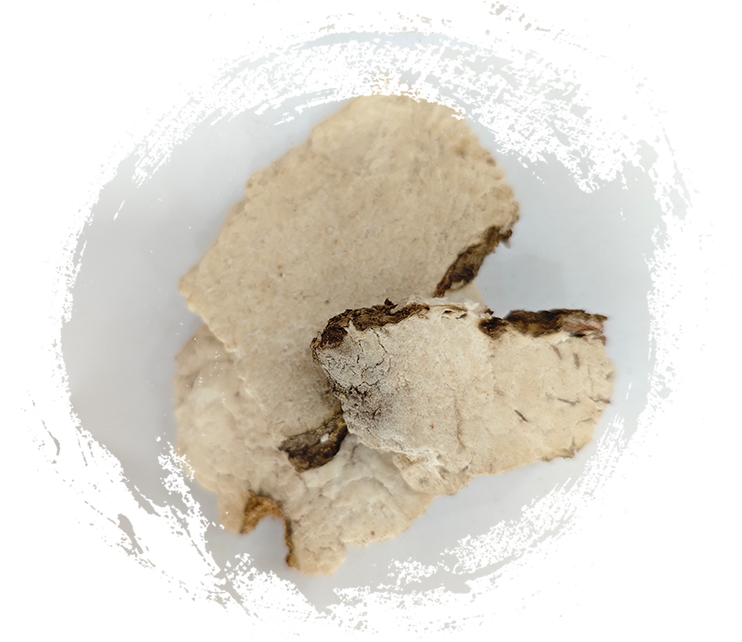 โพเรียโคโคส