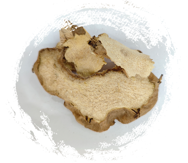 เมล็ดละหุ่ง