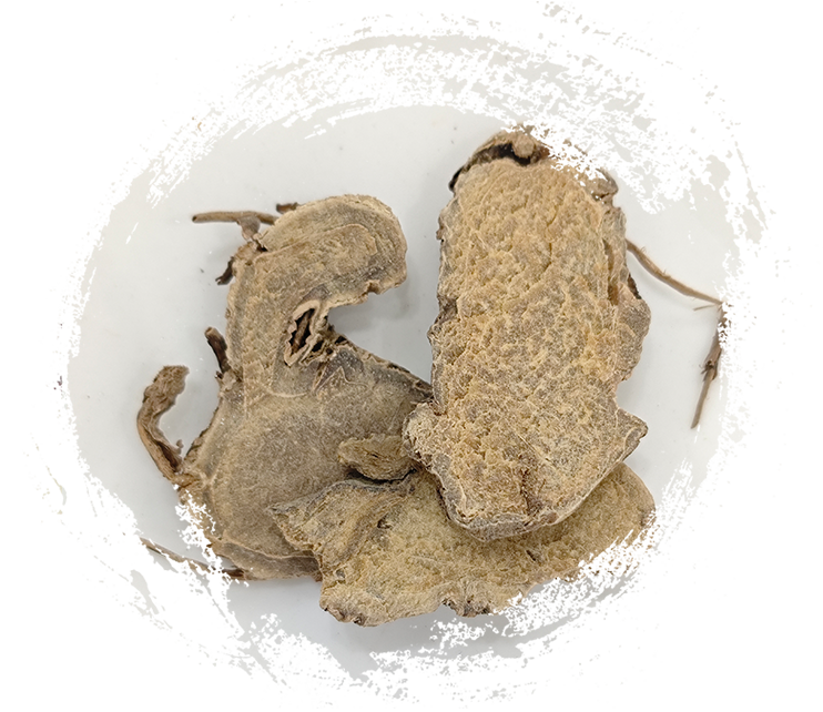 ขมิ้นชัน