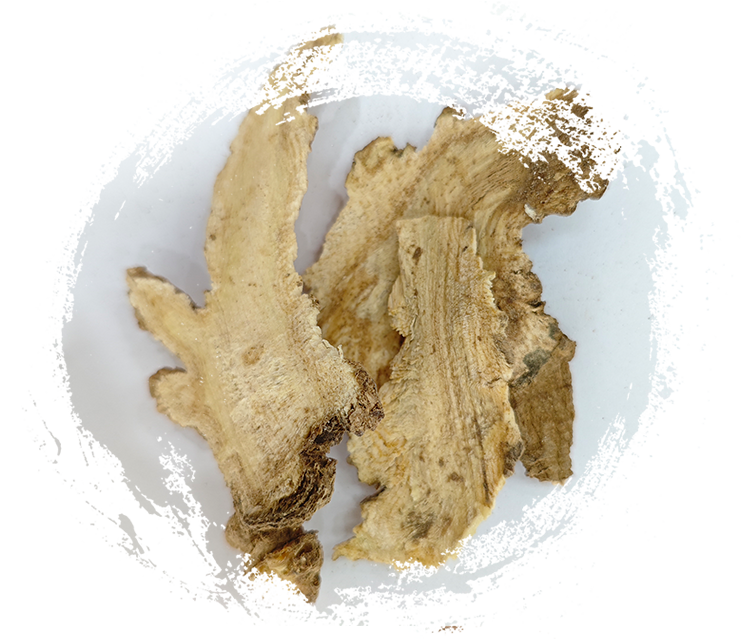 แองเจลิกา หัวหน่าว