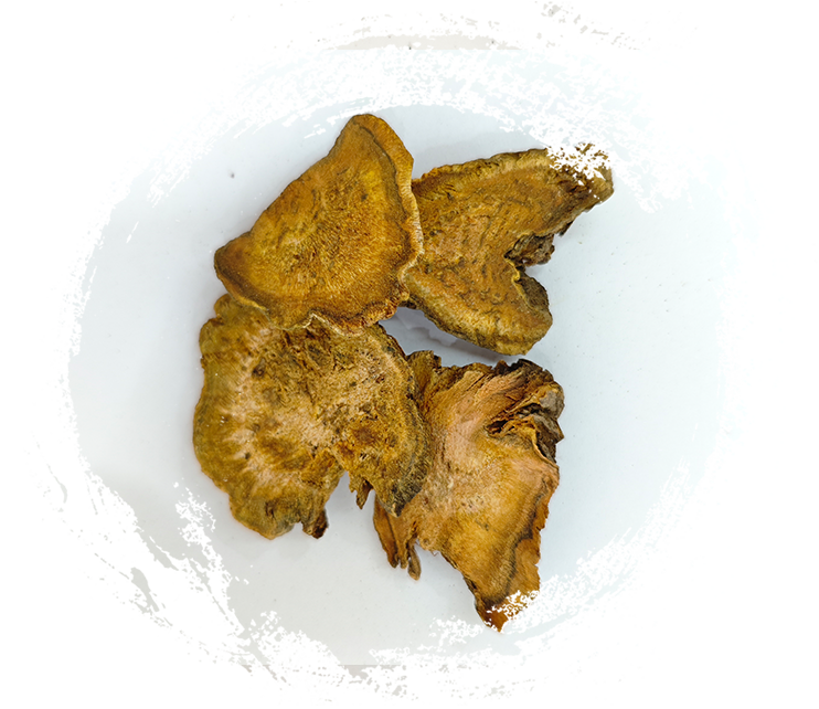 รูบาร์บจีน