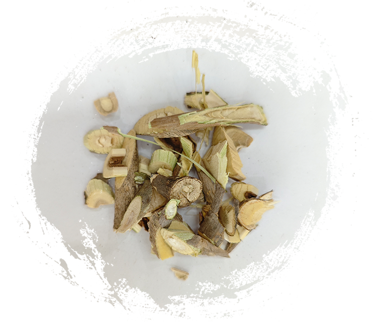 แมนี่พริเคิล (Acanthopanax senticosus)