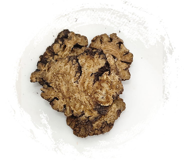 ลิกุสติคัม ชวนเซียง ฮอร์ต