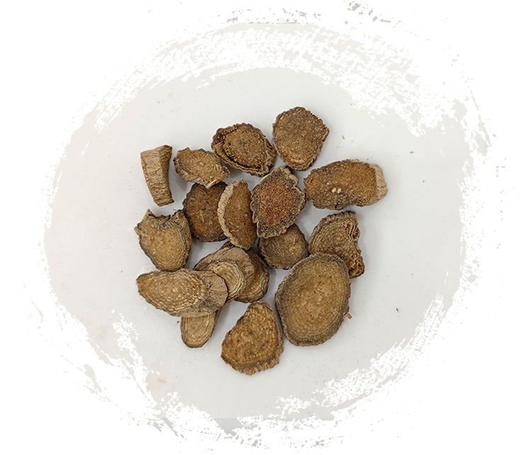 ชวน อคิรันเทส