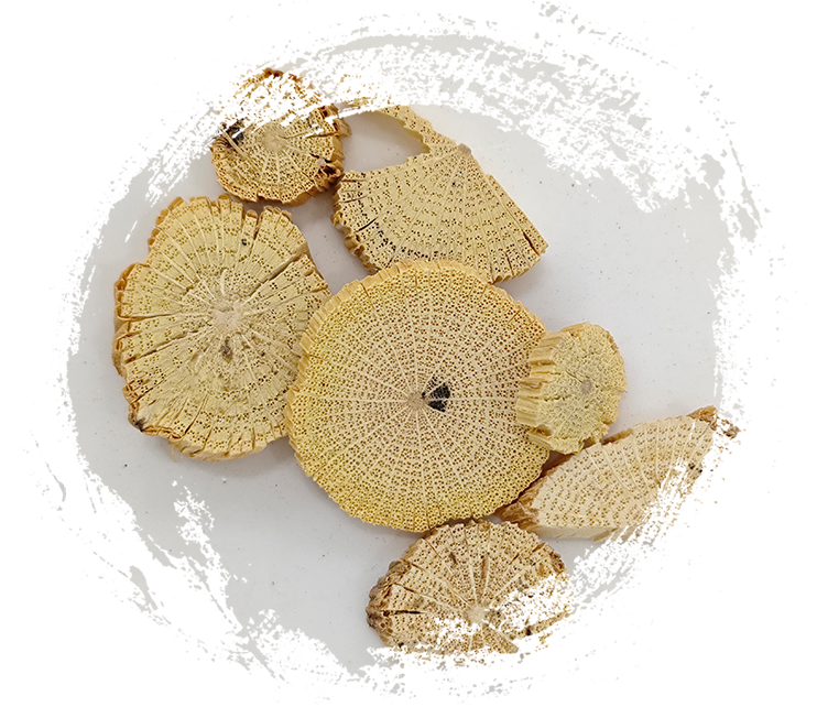 ก้านไม้เลื้อยจำพวกจีน