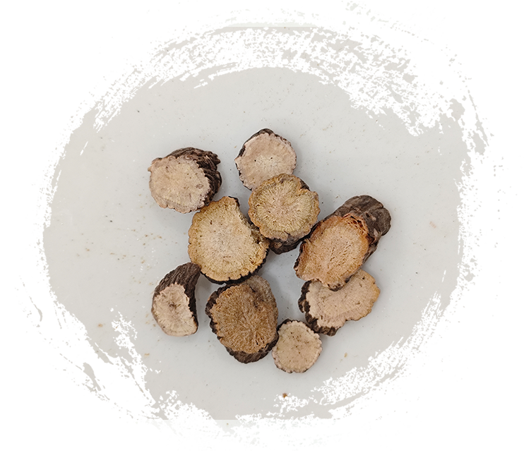 ดอกโบตั๋นสีแดง