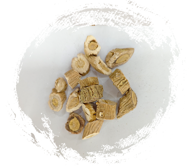 รากอิซาติดิส