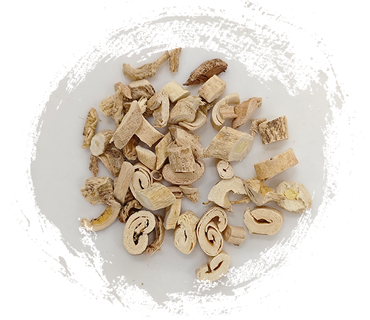 คอร์เท็กซ์ดิกตัมนี