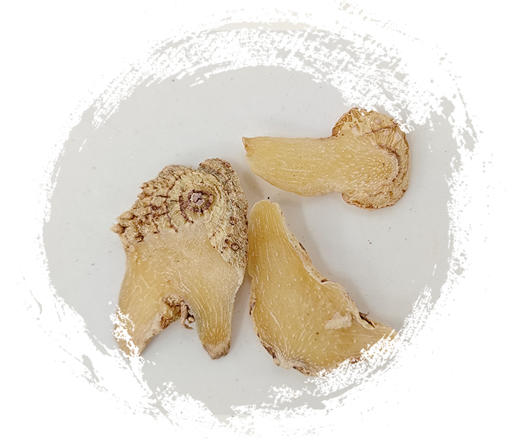 เบลทิลลา สไตรเอตา