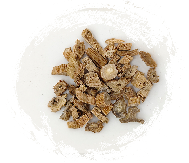 Stemona japonica (บลูม) มิค.