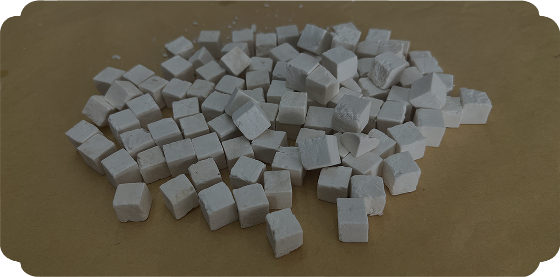 Wolfiporia extensa (เชื้อราที่ทำให้เกิดการผุพังของไม้)