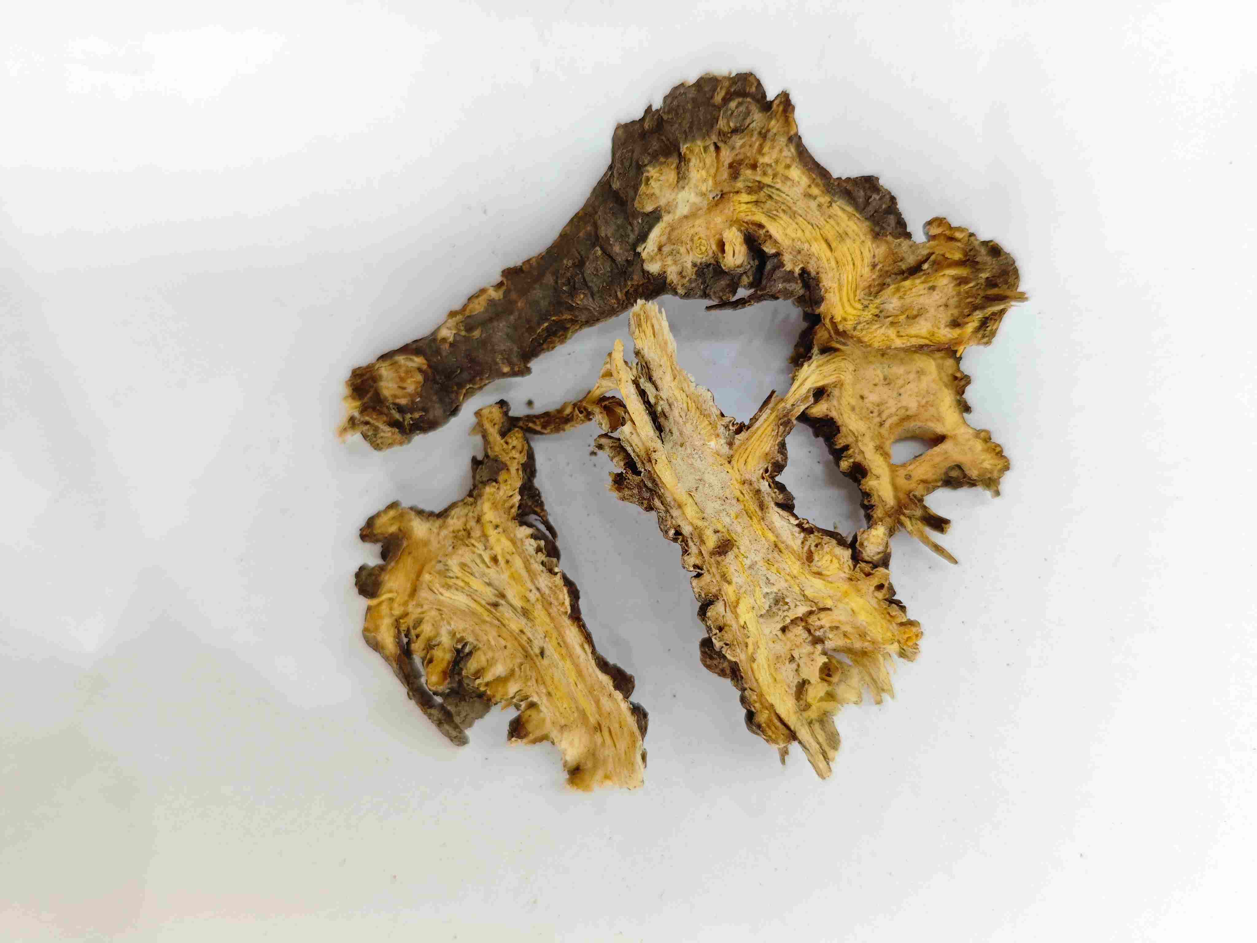 ไม้หนอนจีน