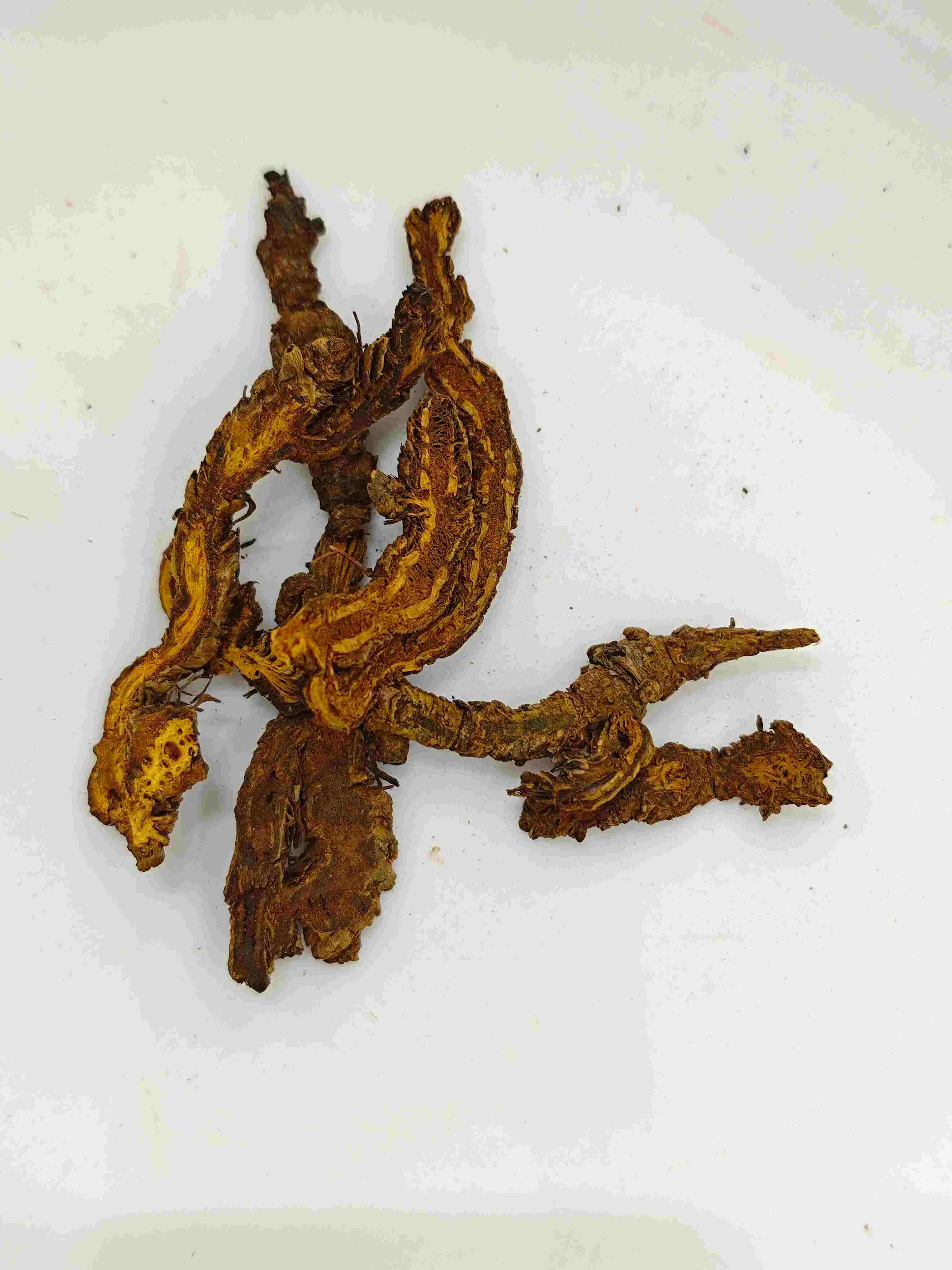 คอปตทิส