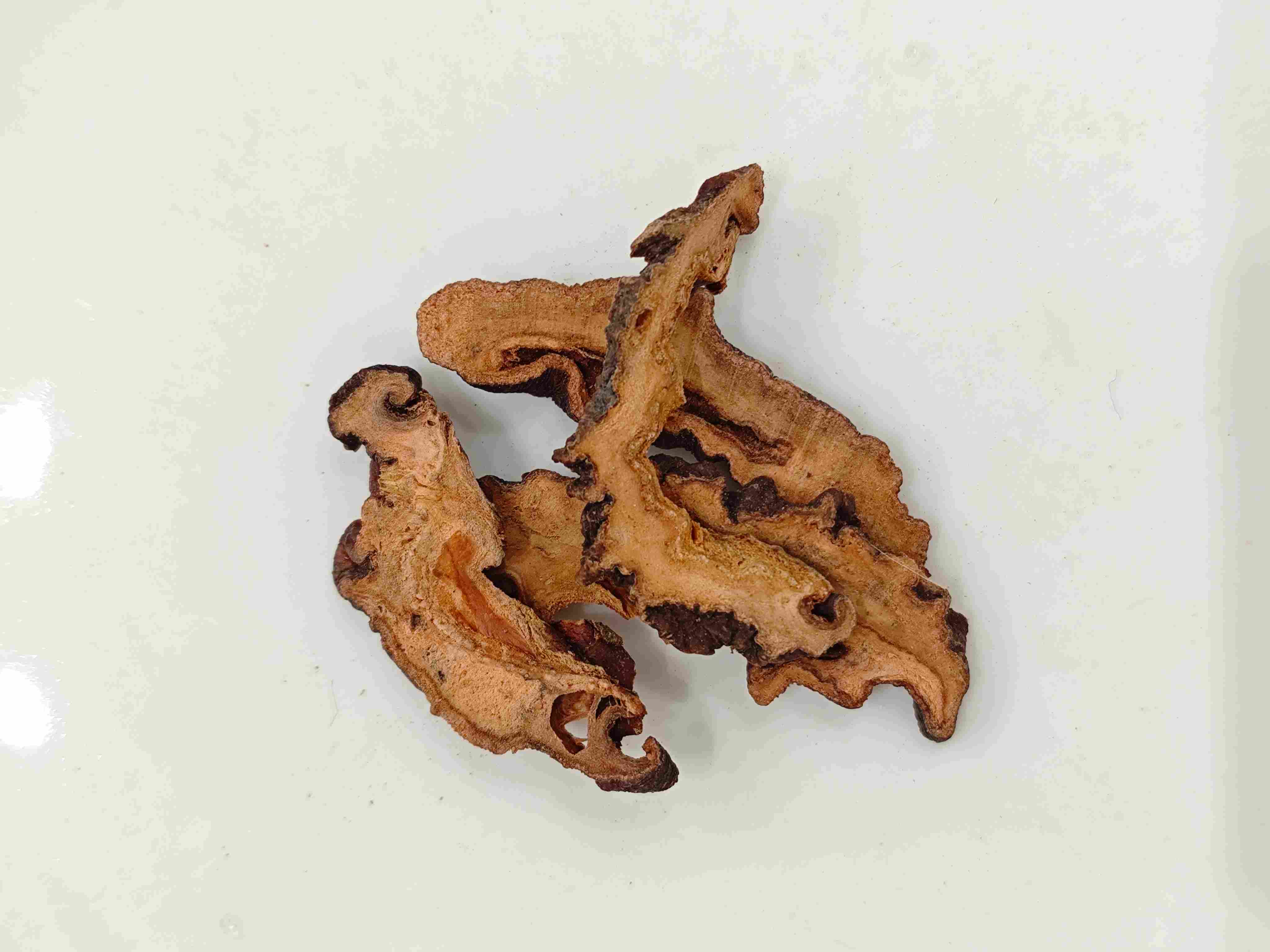 Chaenomeles speciosa