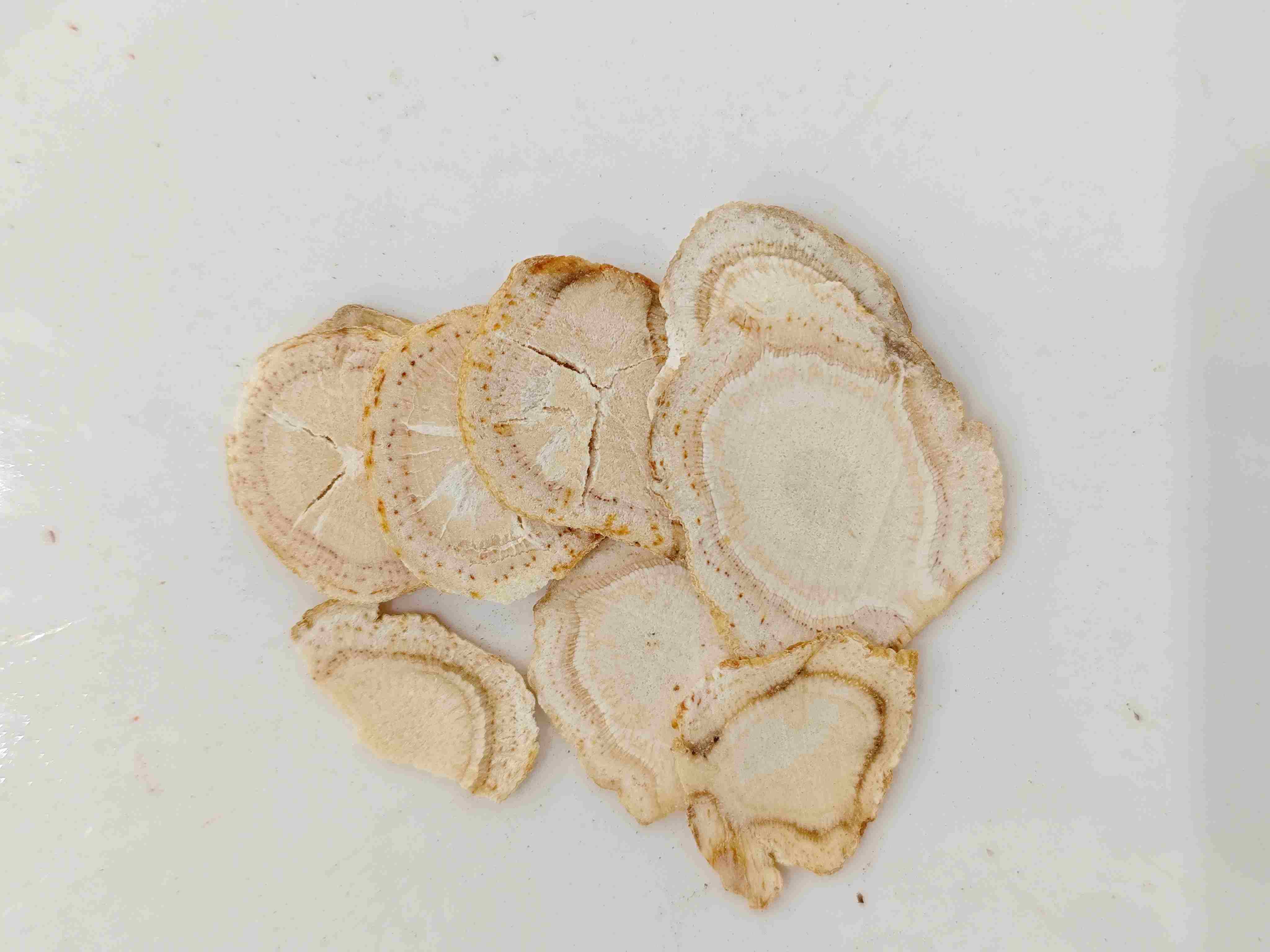 โสมอเมริกัน (Xiyangshen)