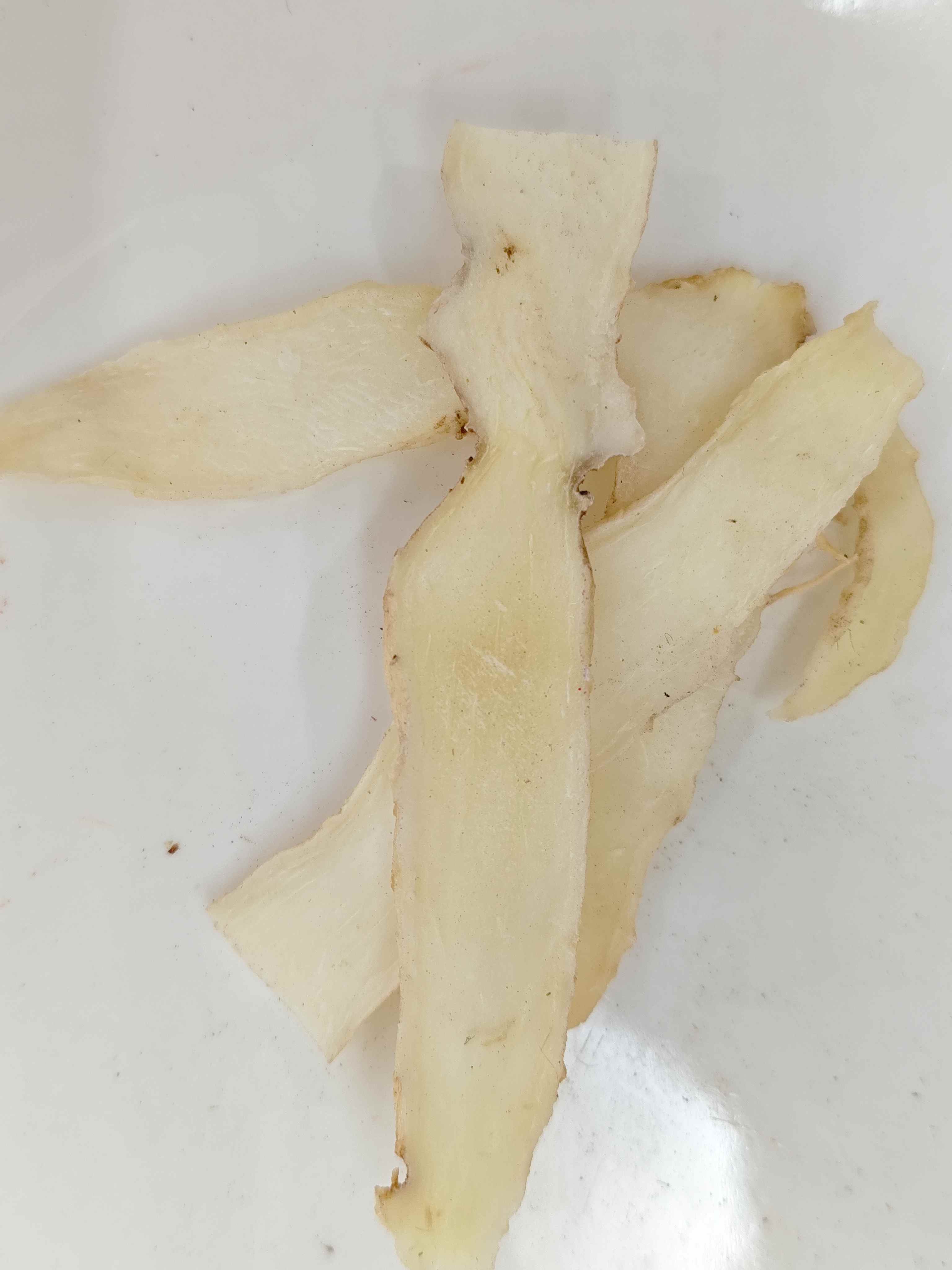 Solomon's Seal (Yuzhu)