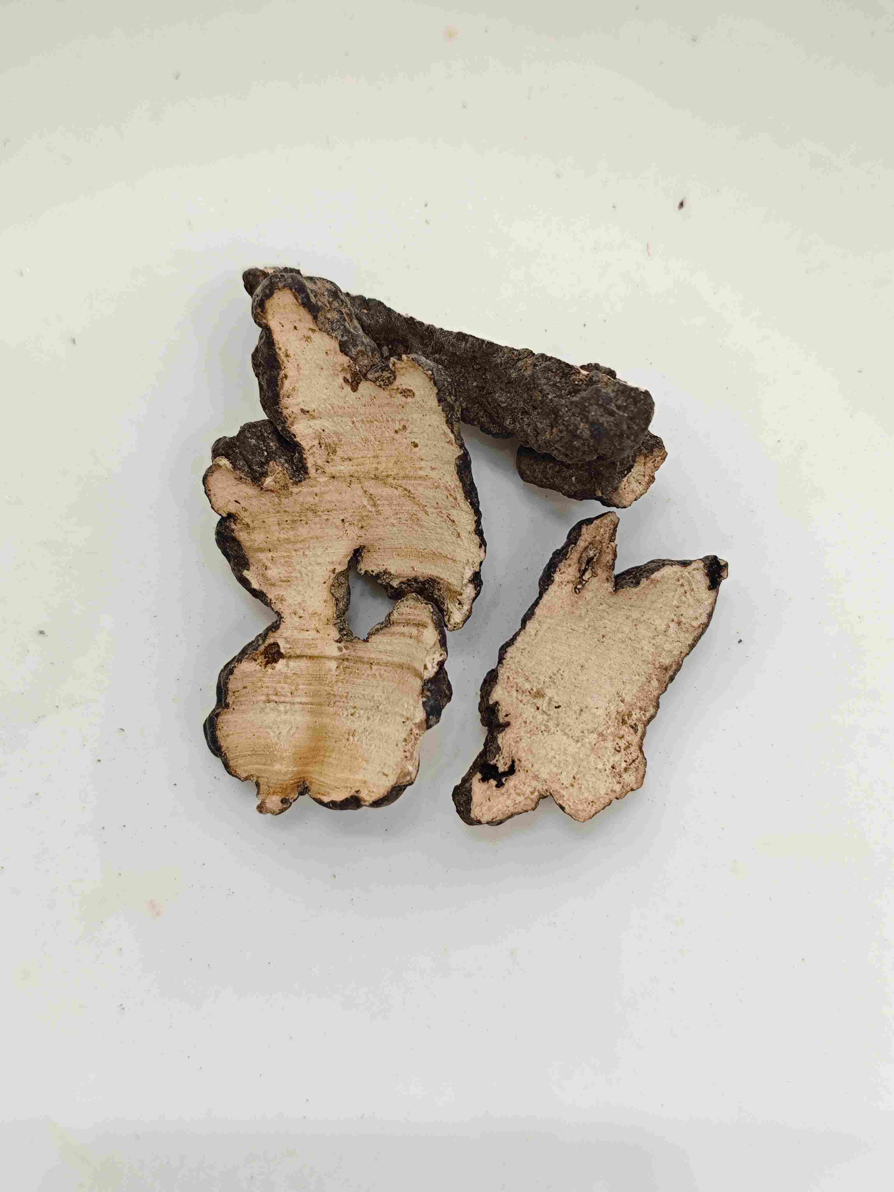 Porcine Polyporus (Zhuling)