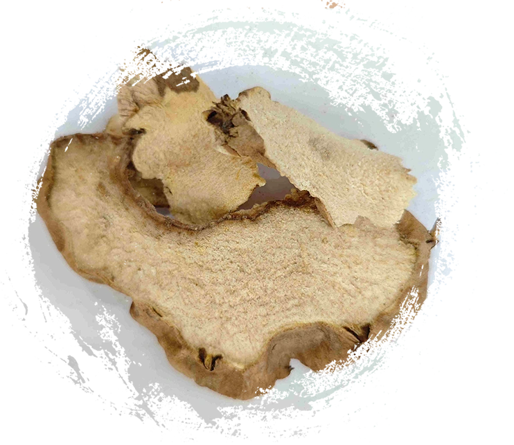 มันเทศจีน