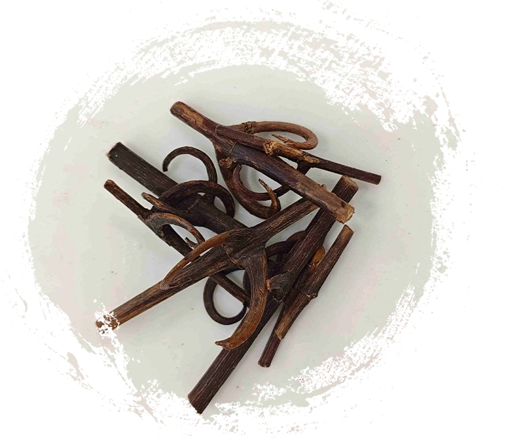 เบ็ดเถาวัลย์