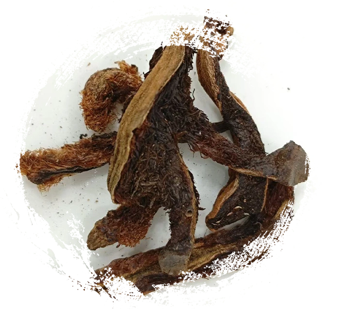 การซ่อมแซมชิ้นส่วนกระดูก