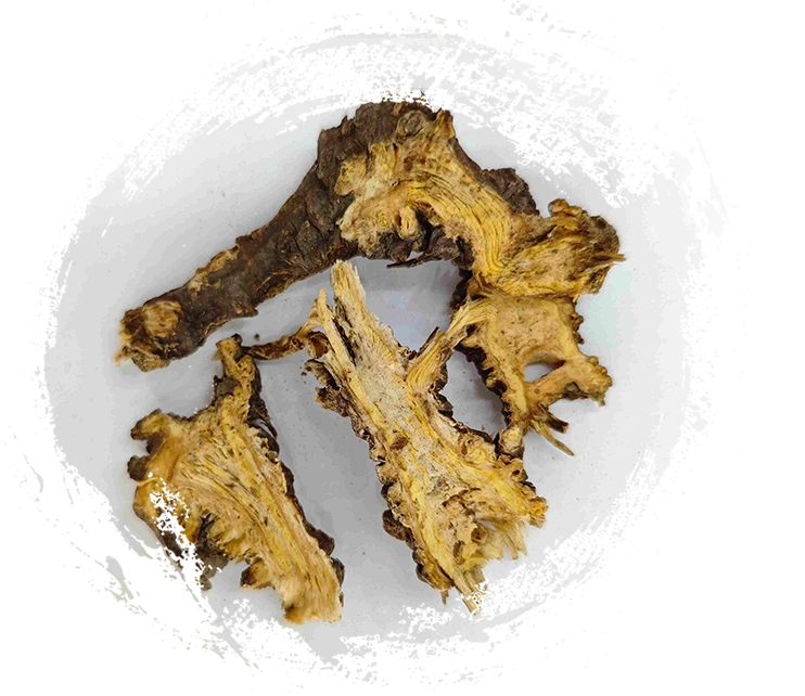 ไม้หนอนจีน