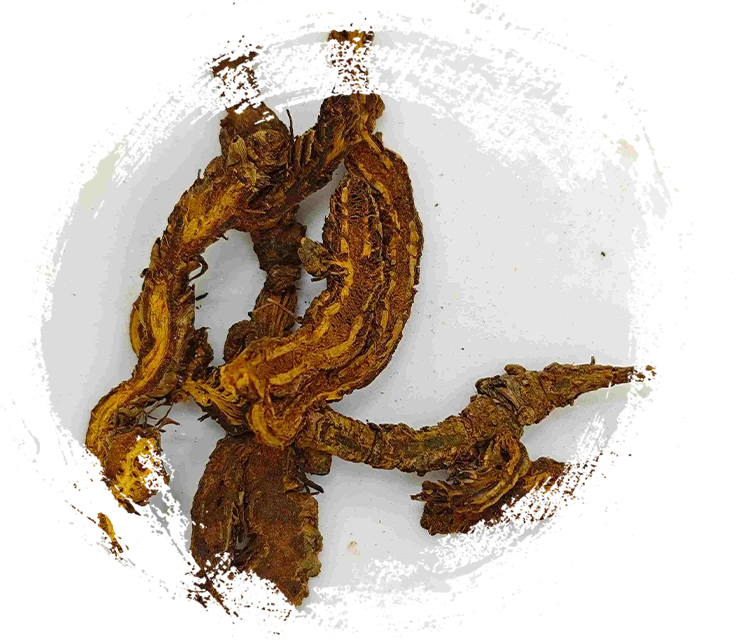 คอปตทิส