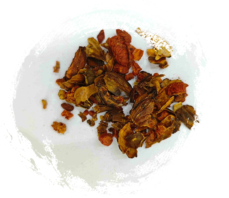 Scorched Gardenia, Jiaozhizi