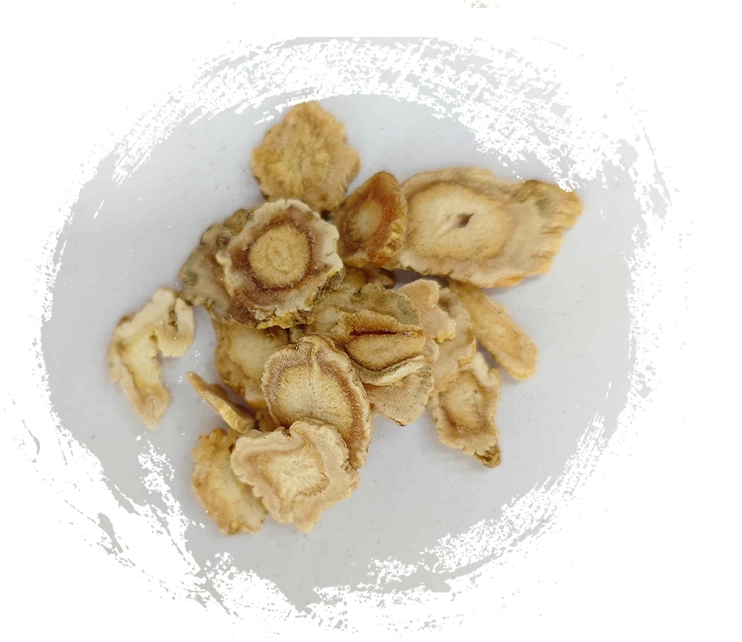 แพลตทาดอน jiegeng