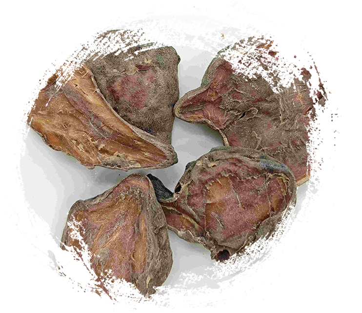 Slice Aconite ที่เตรียมไว้, paofupian