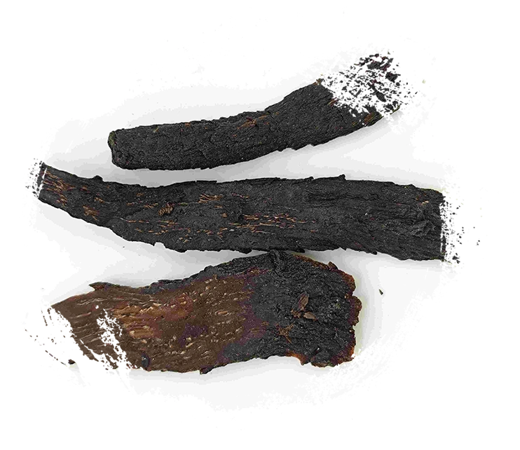 Cistanche, roucongrong