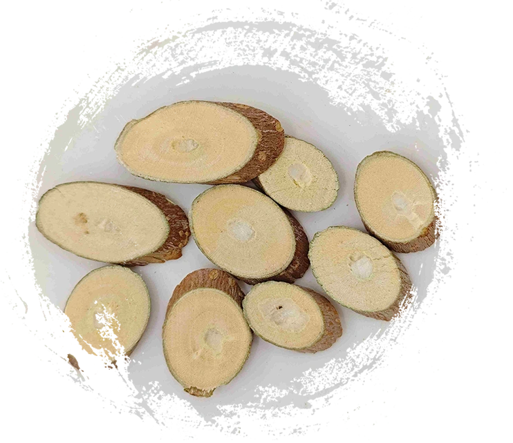 สาขาหม่อน (Sangzhi)