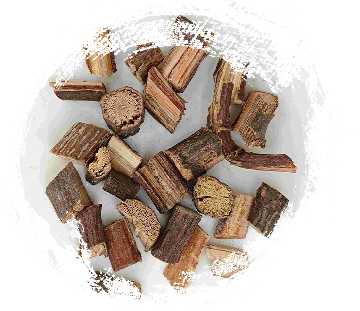 ก้าน Multiflorum Polygonum (Shouwuteng)