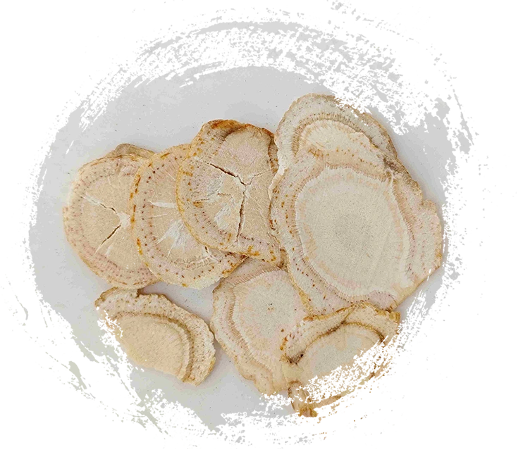 โสมอเมริกัน (Xiyangshen)