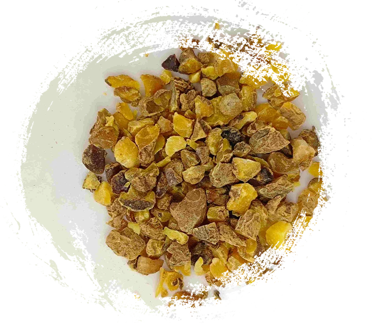 เหง้า Corydalis (Yanhusuo)