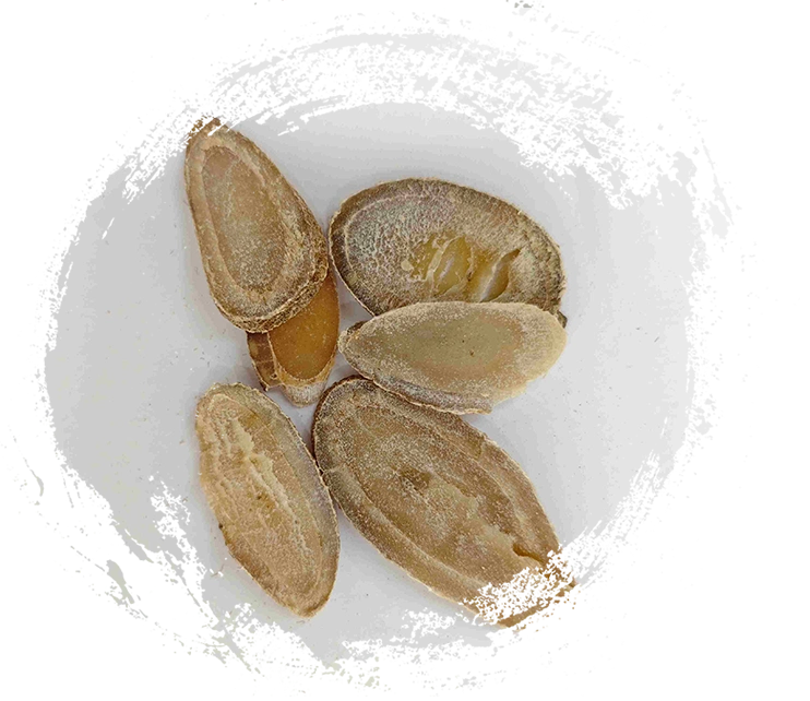 เหง้าขมิ้น (ยูจิน)