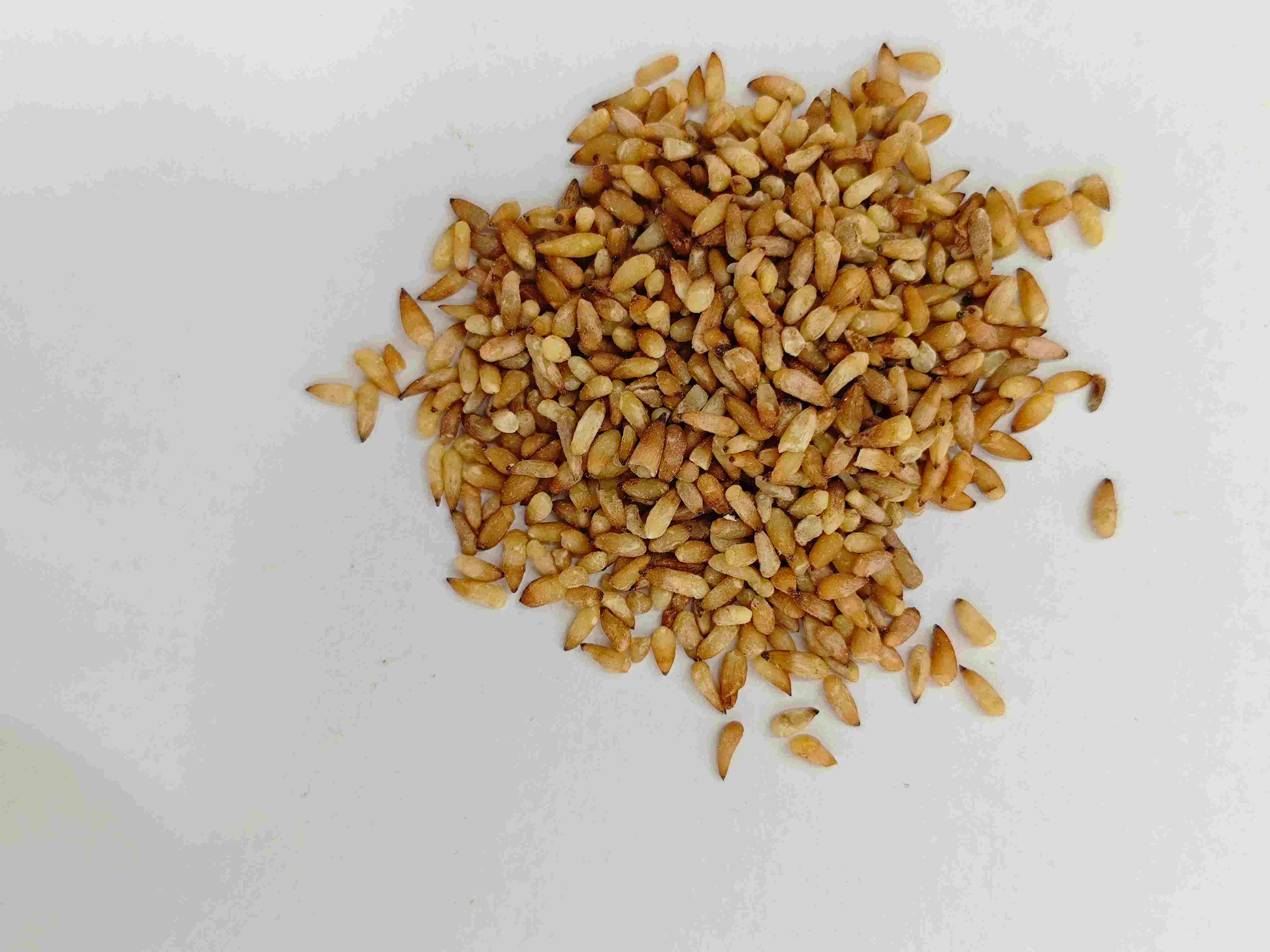 เมล็ด Arborvitae จีน (Bǎizǐrén)