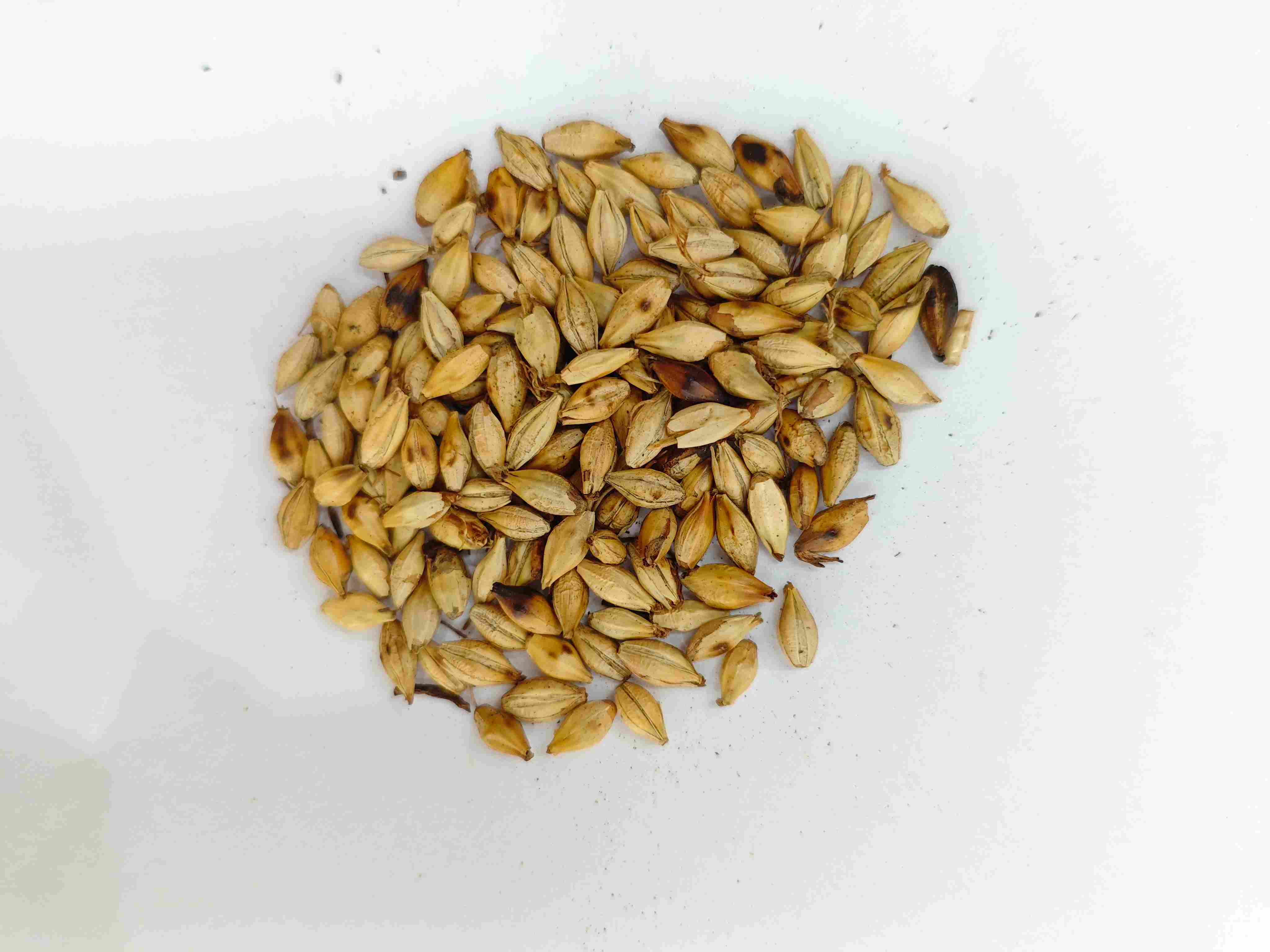 ข้าวบาร์เลย์ย่าง (Chǎomàiyá)