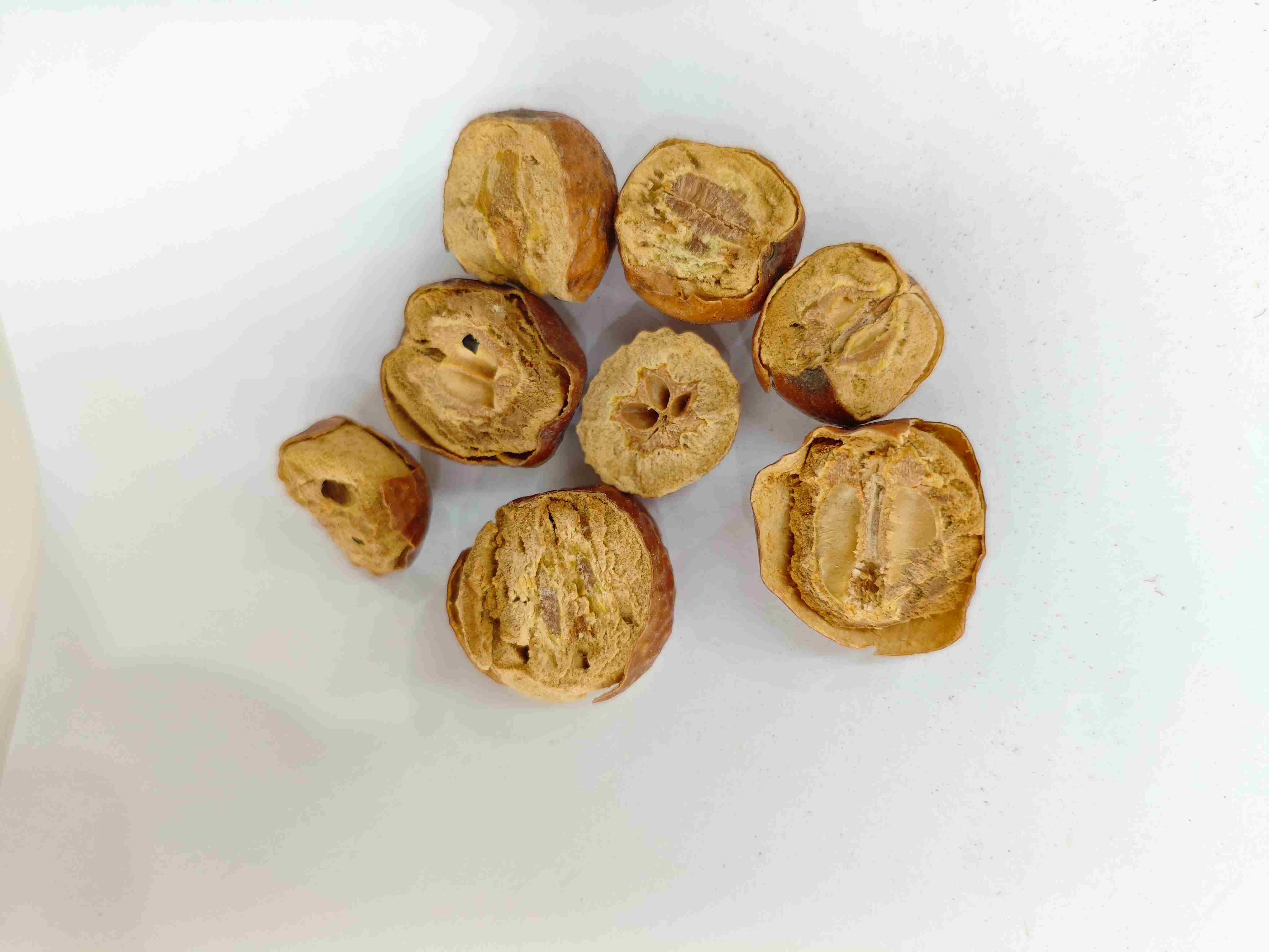 Toosendan Fruit (ChuānLiánzǐ)