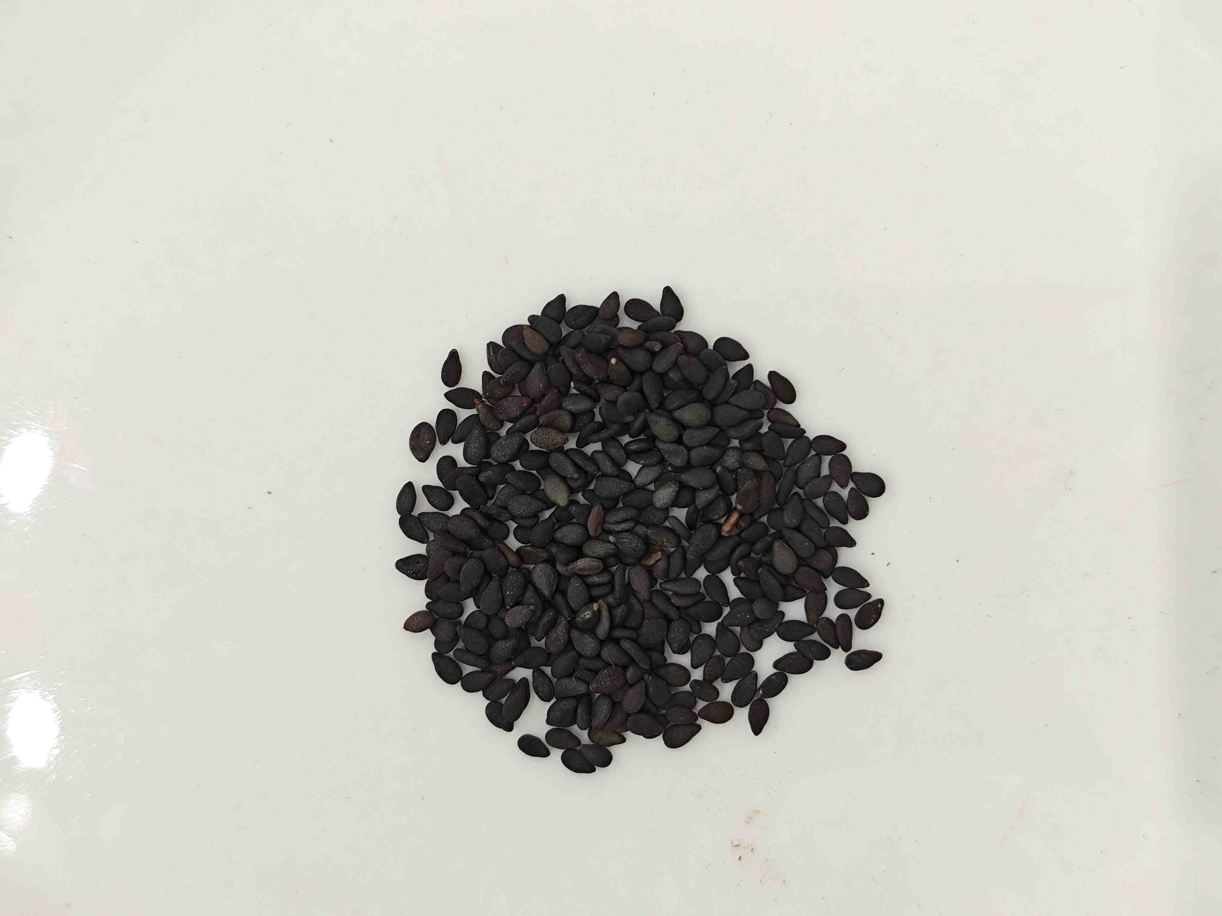 เมล็ดงาดำ (HēiZhīm&aacute;)